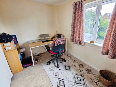 Picture 22